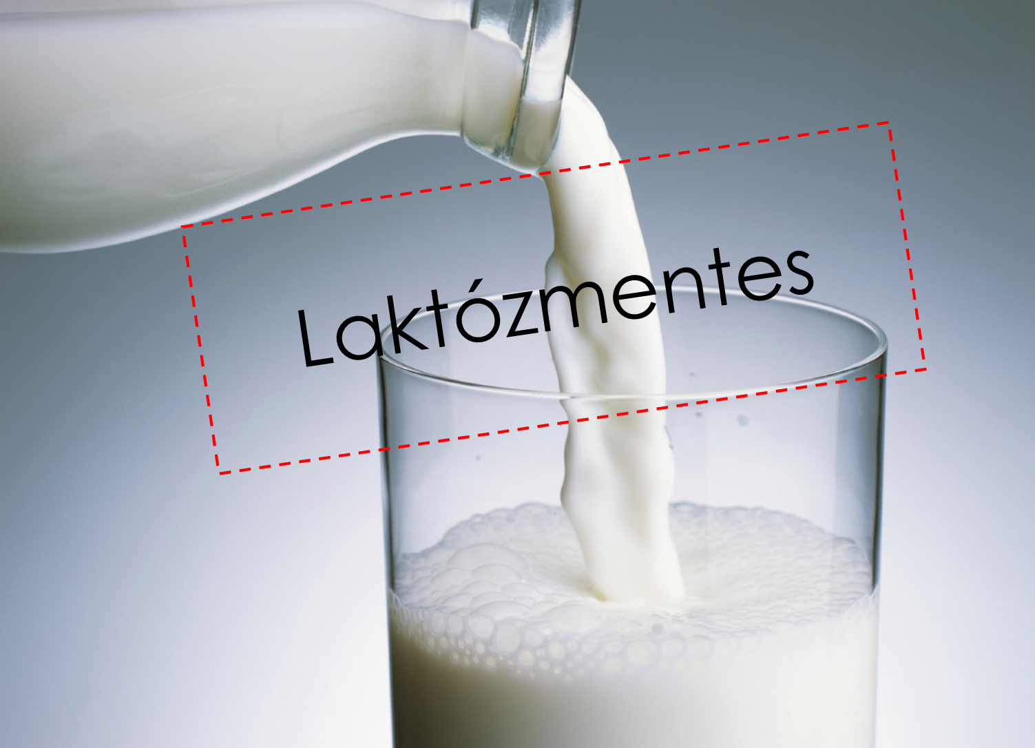 laktozmentes