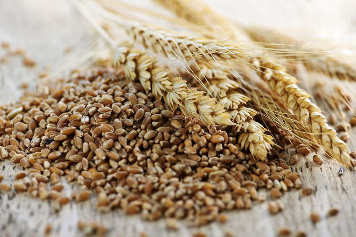 jó fogyókúrás gabonafélék hogyan lehet karcsúsítani a törzsét